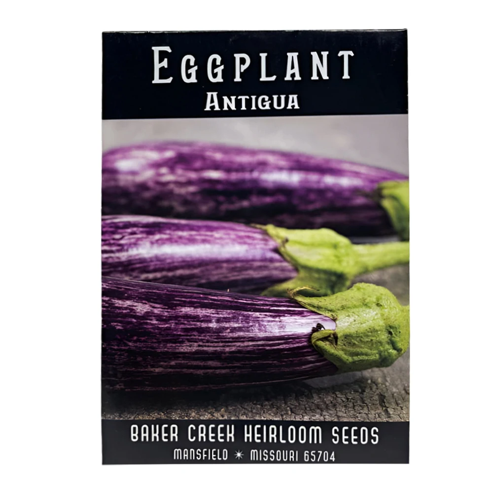 Antigua Eggplant 1 Antigua Eggplant seeds