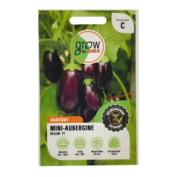 Bellini F1 Eggplant seeds