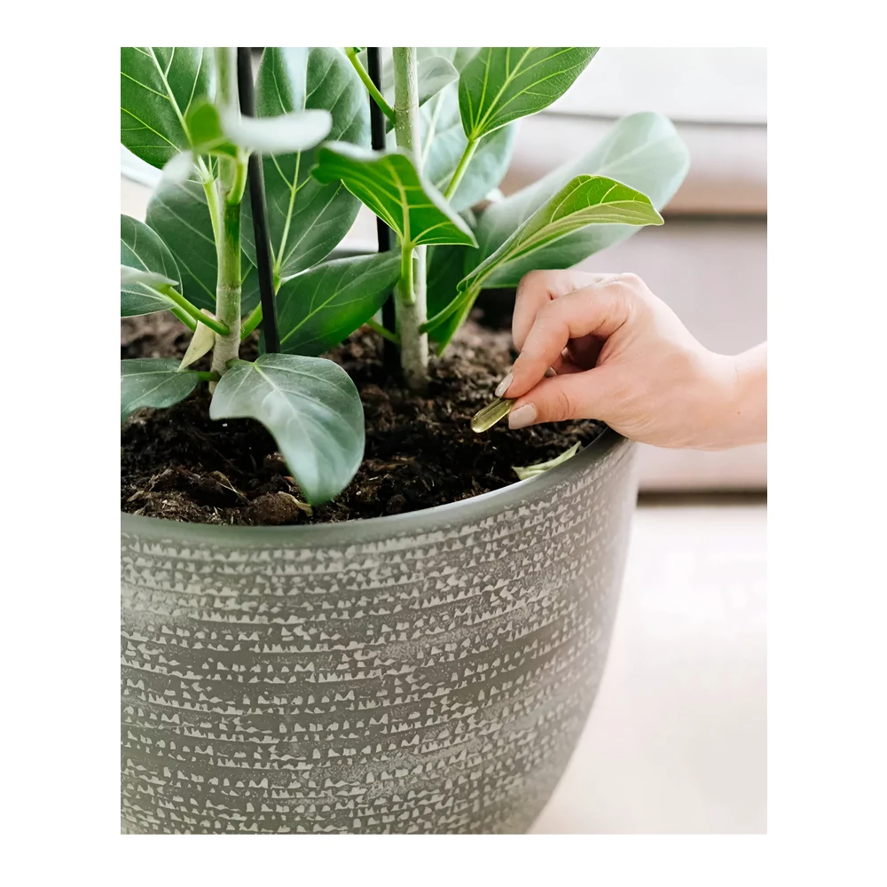 Bio Pokon Leaf Pests Capsules
