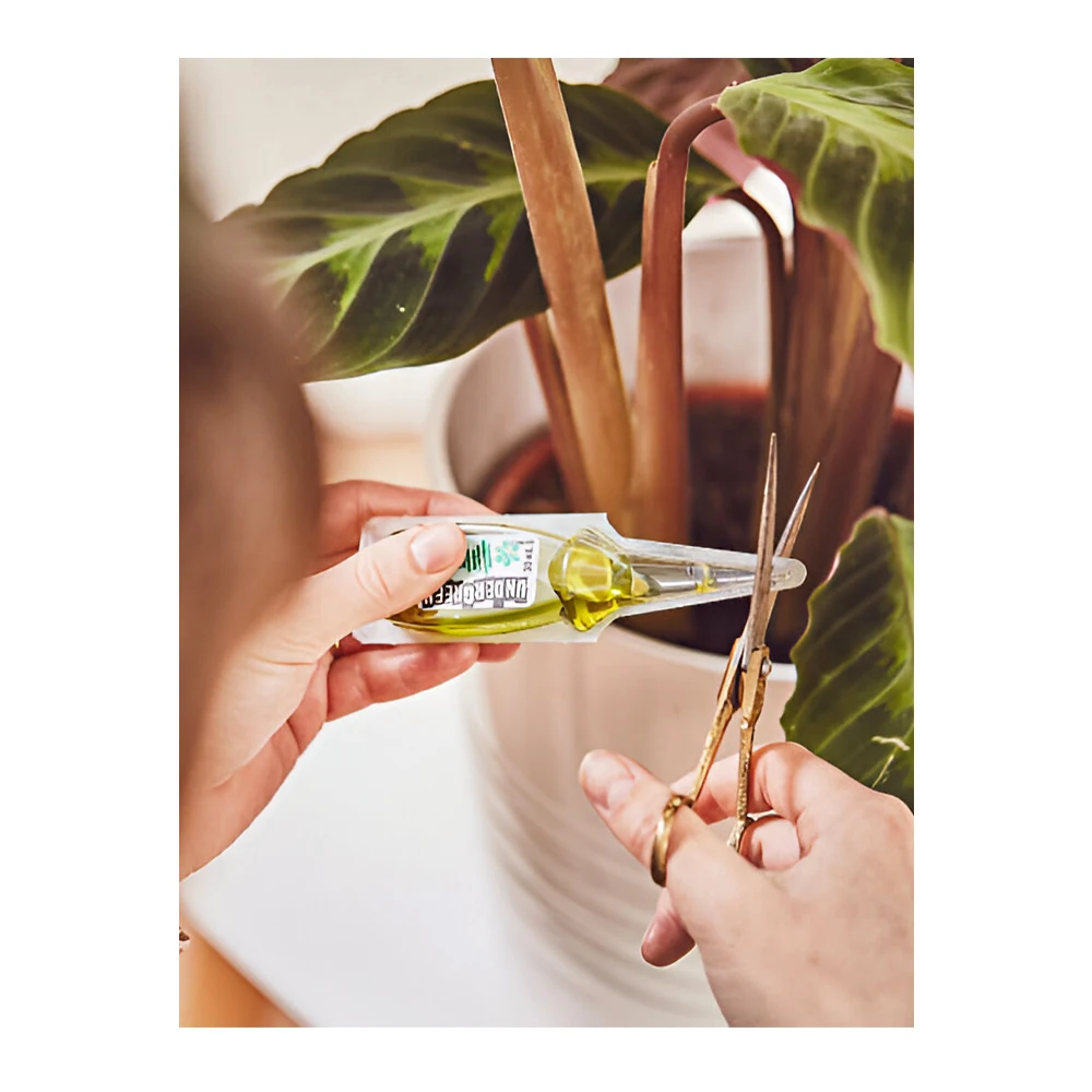 Green Detox Cure