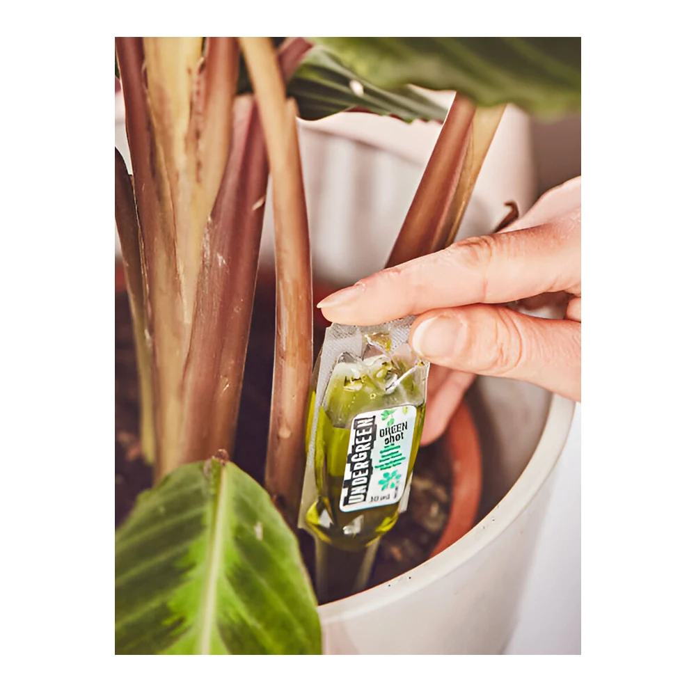 Green Detox Cure