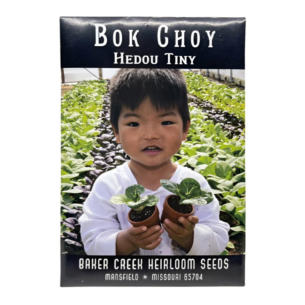 Hedou Tiny Bok Choy Chinese Cabbage seeds