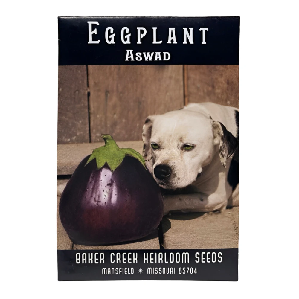 Iraqi Aswad Eggplant seeds