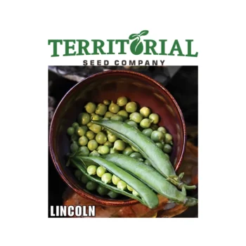 Lincoln Shelling Pea seeds