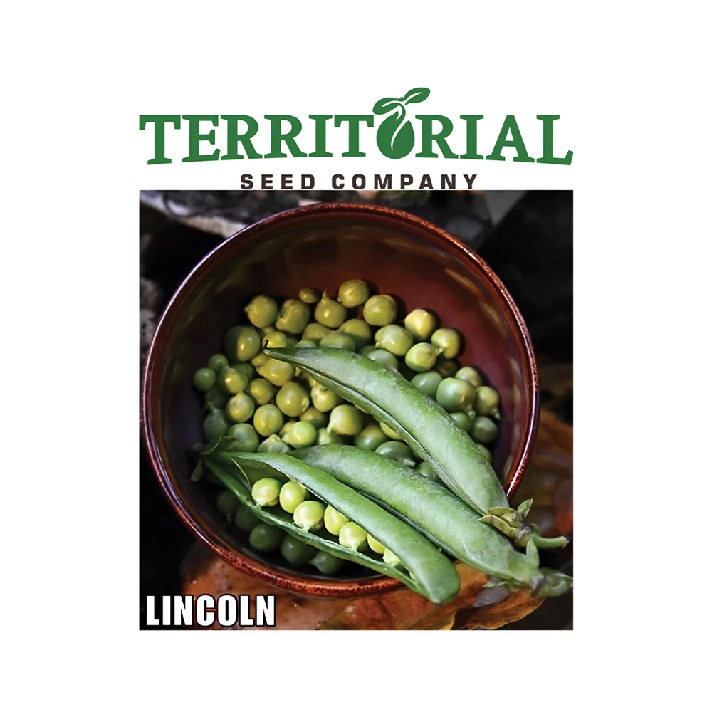 Lincoln Shelling Pea seeds