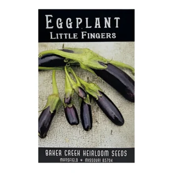 Little Fingers Eggplant seeds