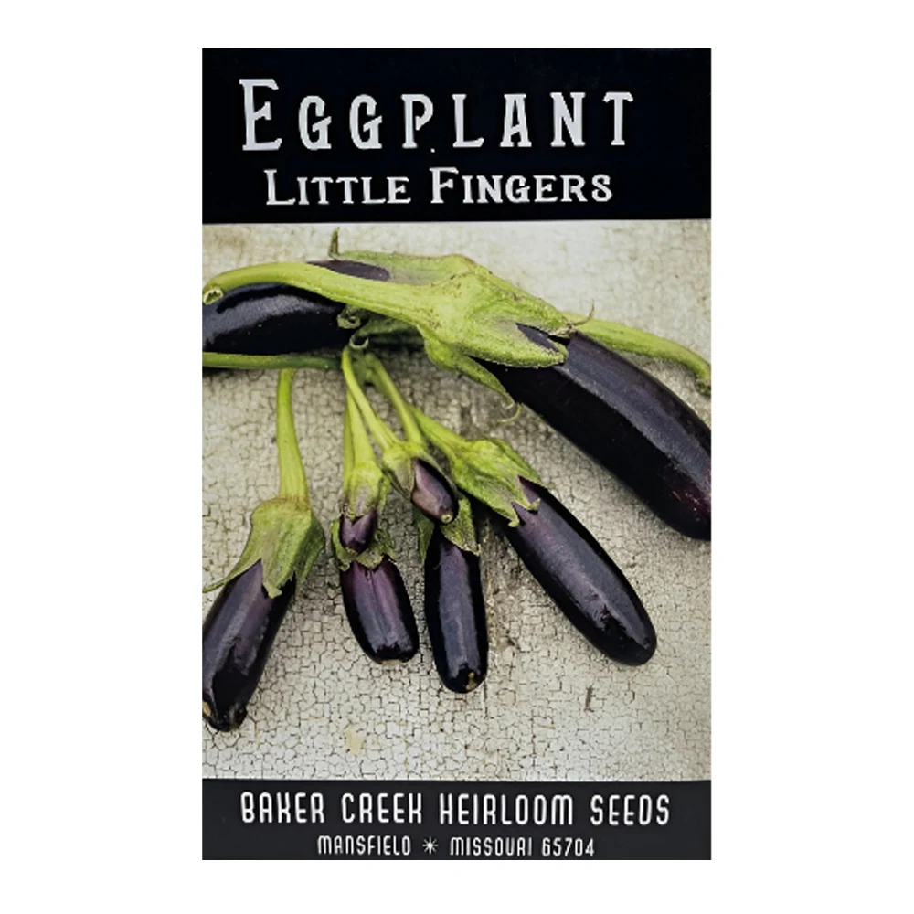 Little Fingers Eggplant 1 Little Fingers Eggplant seeds