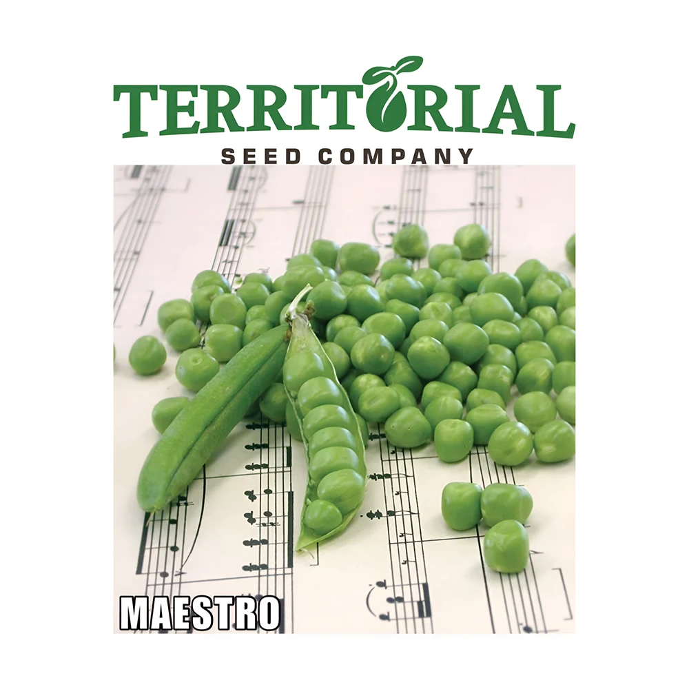 Maestro Shelling Pea seeds