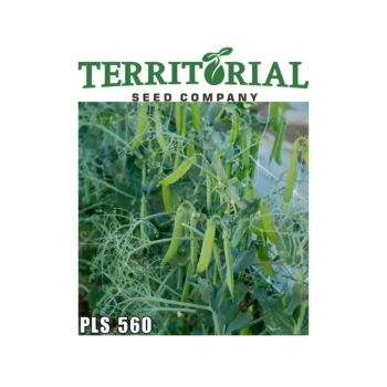 PLS 560 OG Shelling Pea seeds