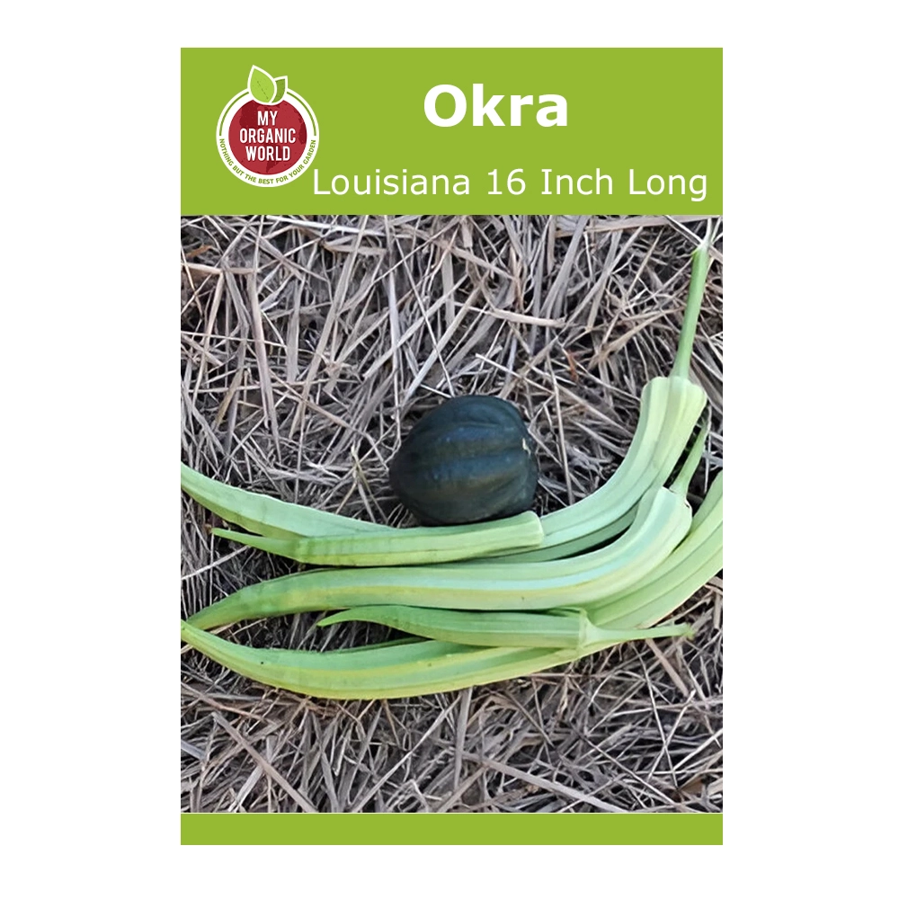 Louisiana 16 Inch Long Pod Okra