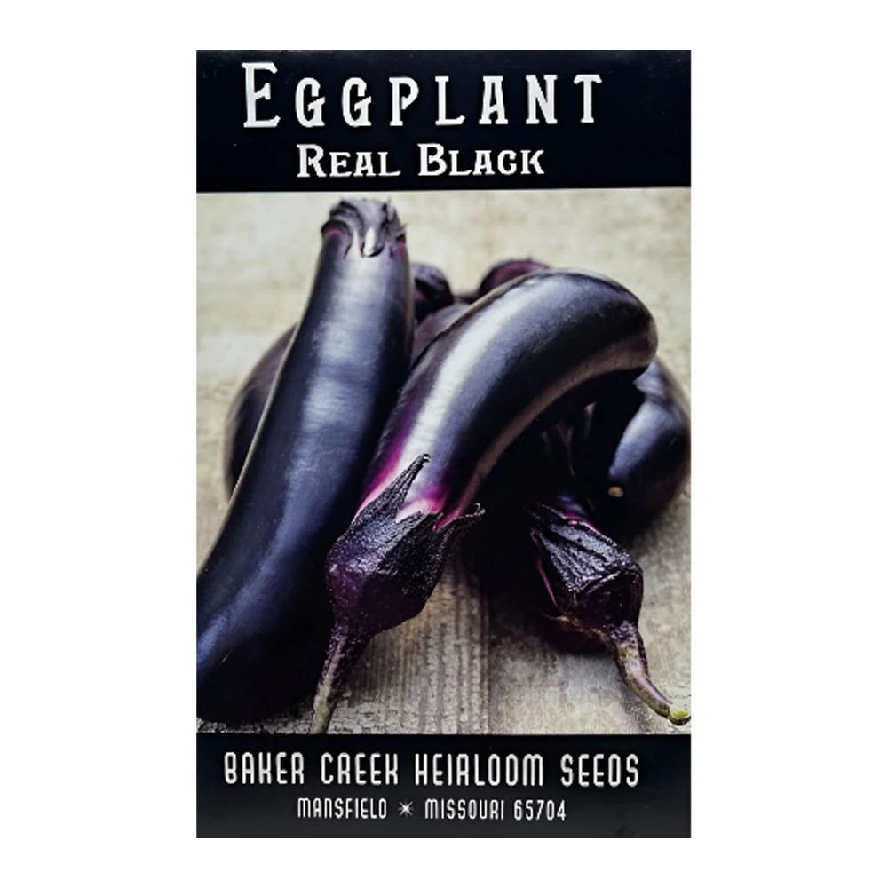 Real Black Eggplant 1 Real Black Eggplant seeds
