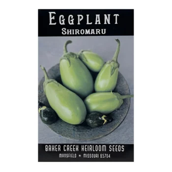 Shiromaru Eggplant seeds