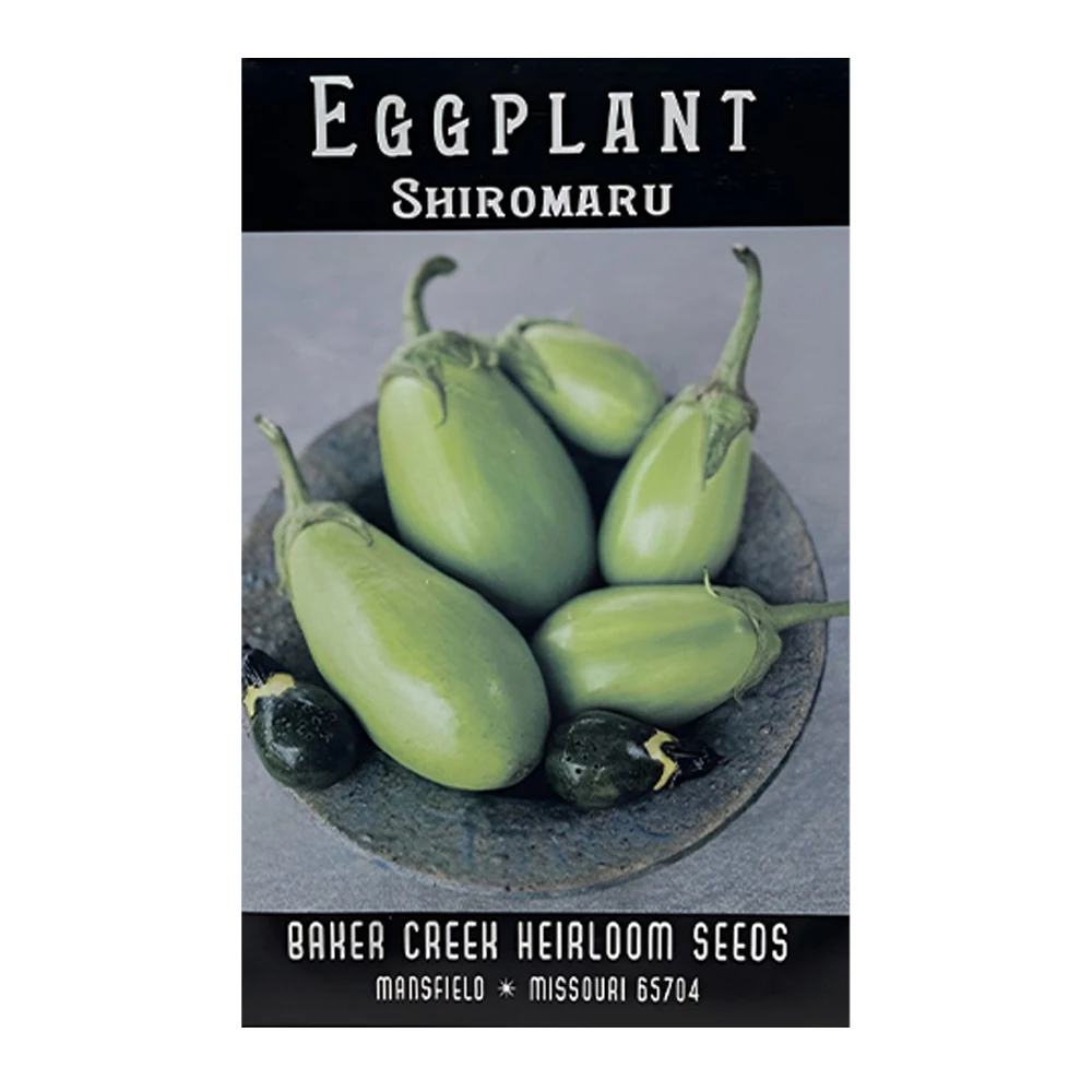 Shiromaru Eggplant seeds