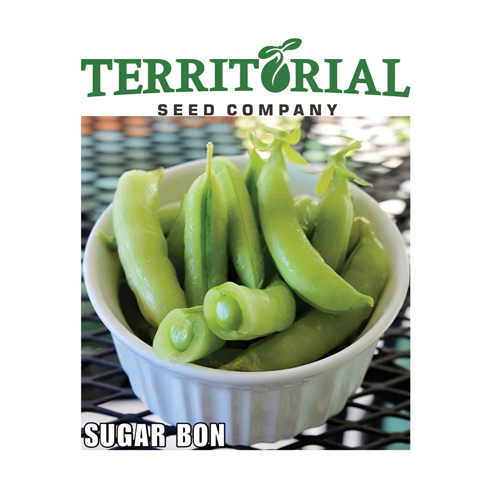 Sugar Bon Snap Pea seeds