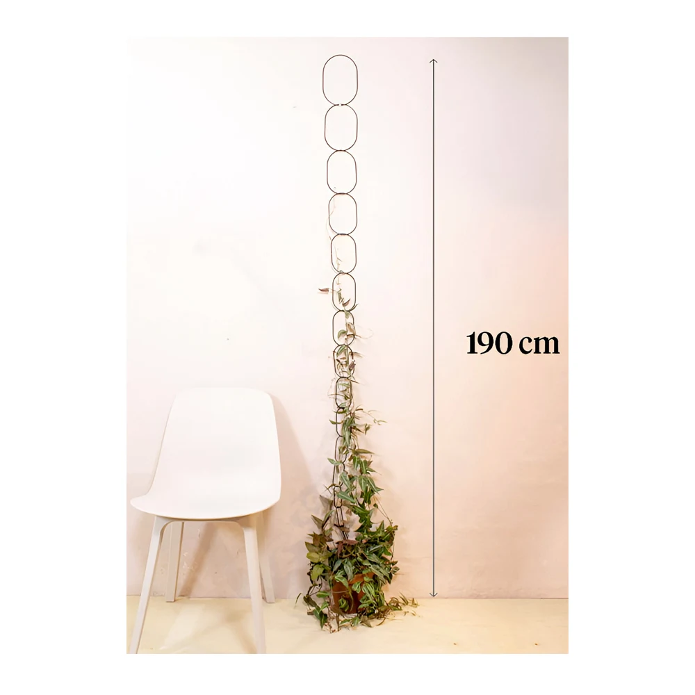 Support for Climbing Plants