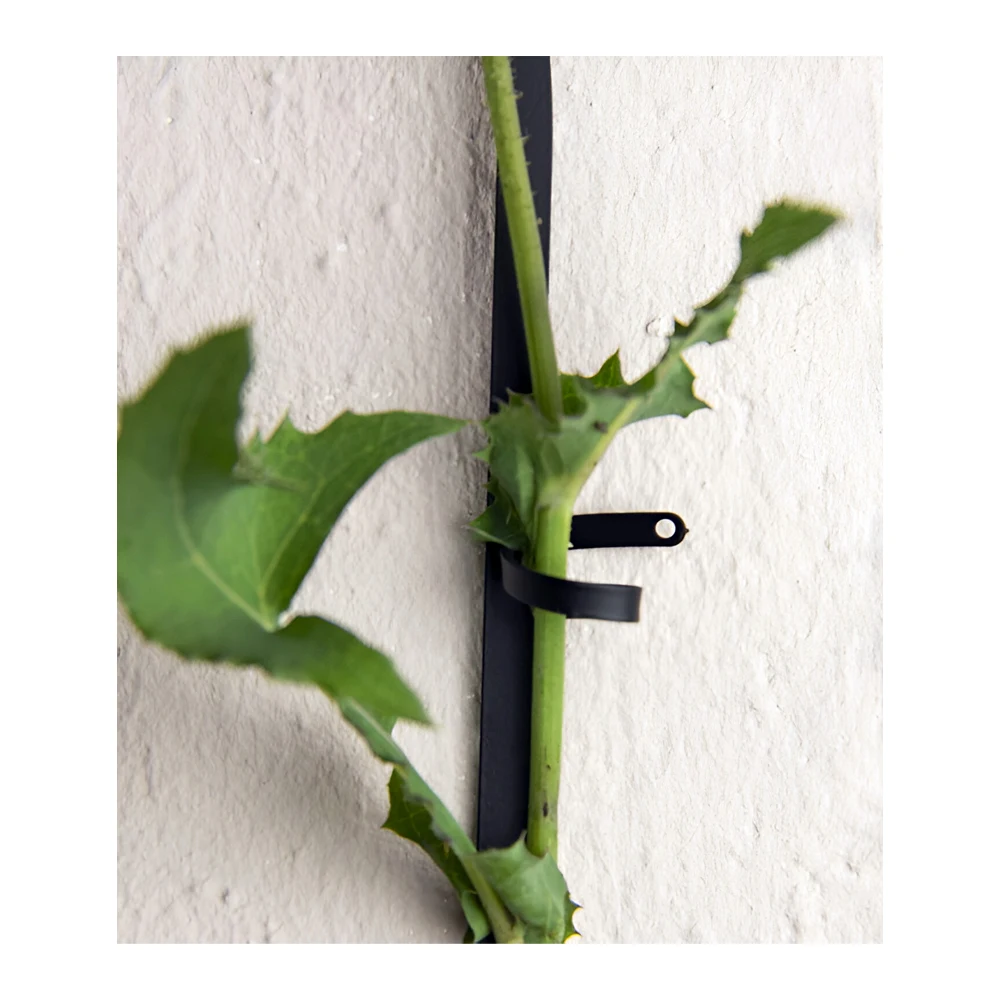 Support for Climbing Plants