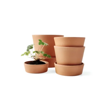 Terracotta Plant Pot