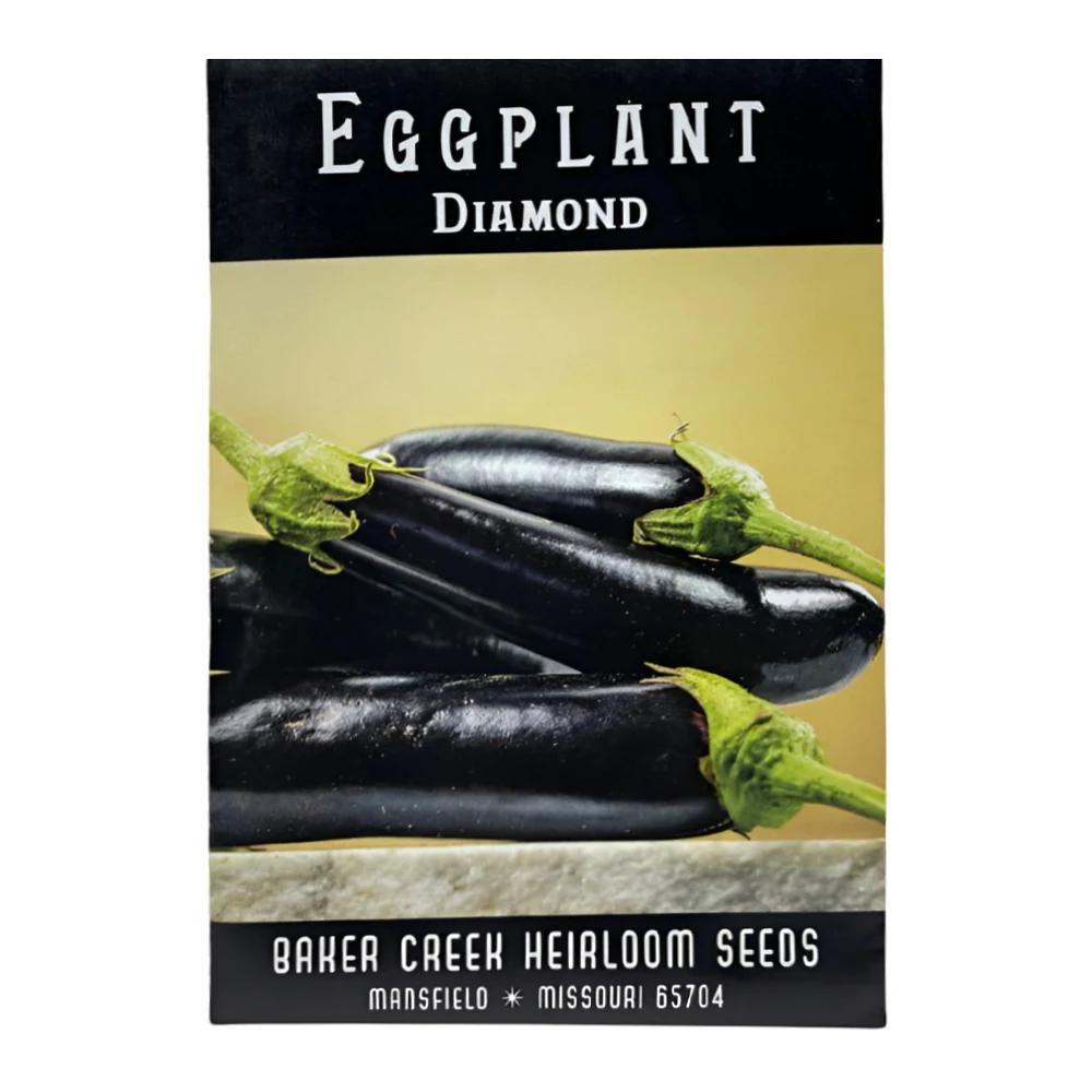Ukrainian Diamond Eggplant 1 Ukrainian Diamond Eggplant seeds