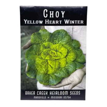 Yellow Heart Winter Choy Chinese Cabbage seeds