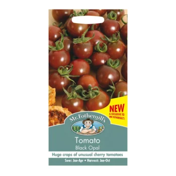 Black Opal Tomato seeds