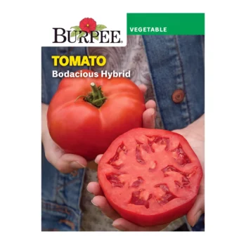 Bodacious Hybrid Tomato seeds