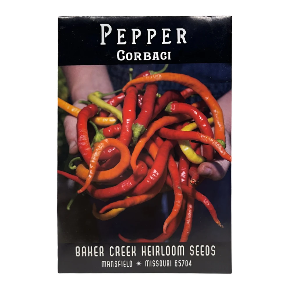 Corbaci Pepper 1 Corbaci Pepper seeds