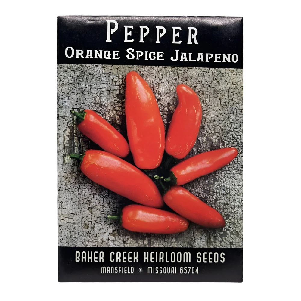 بذور فلفل Jalapeno Orange Spice