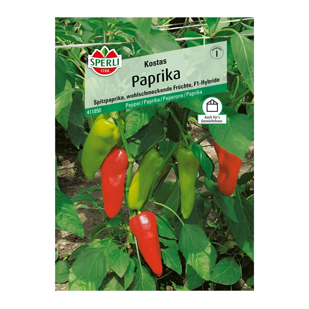Kostas F1 Pepper seeds