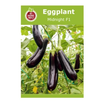 Midnight F1 Eggplant seeds
