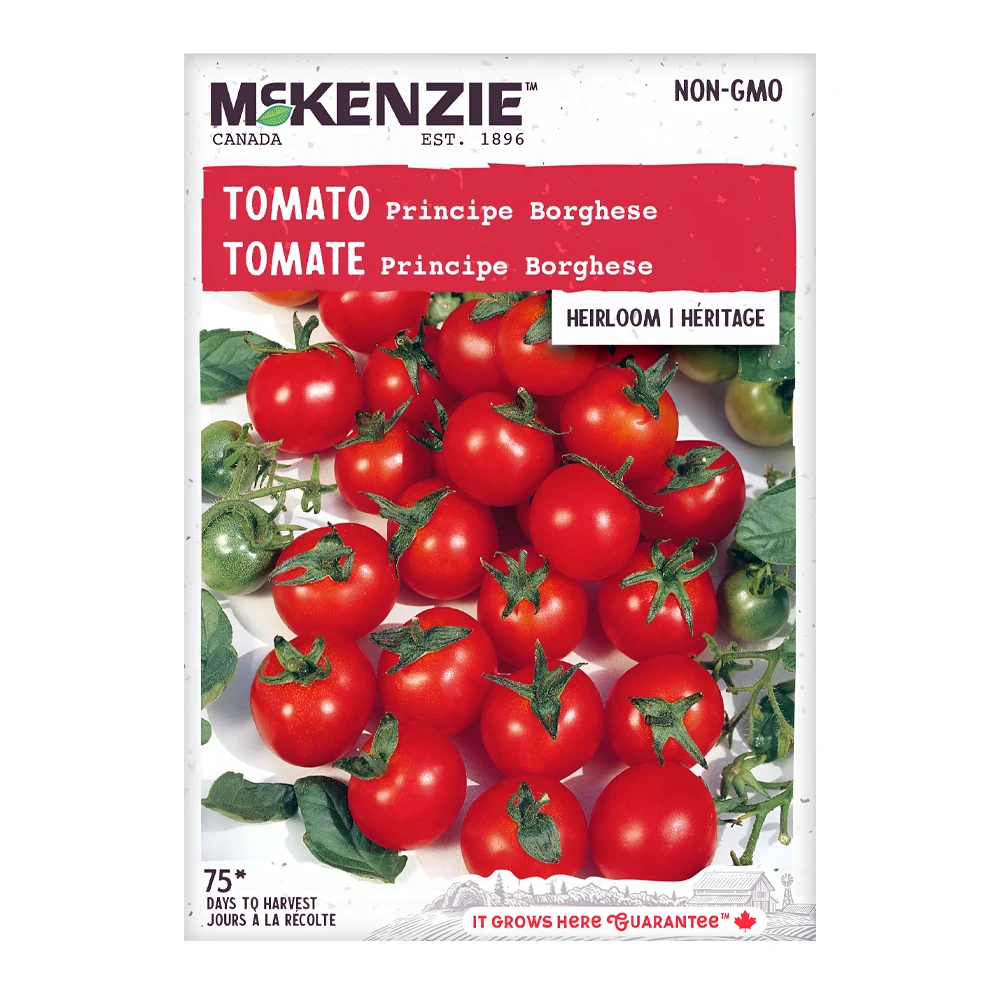 Principe Borghese Tomato 1 Principe Borghese Tomato seeds
