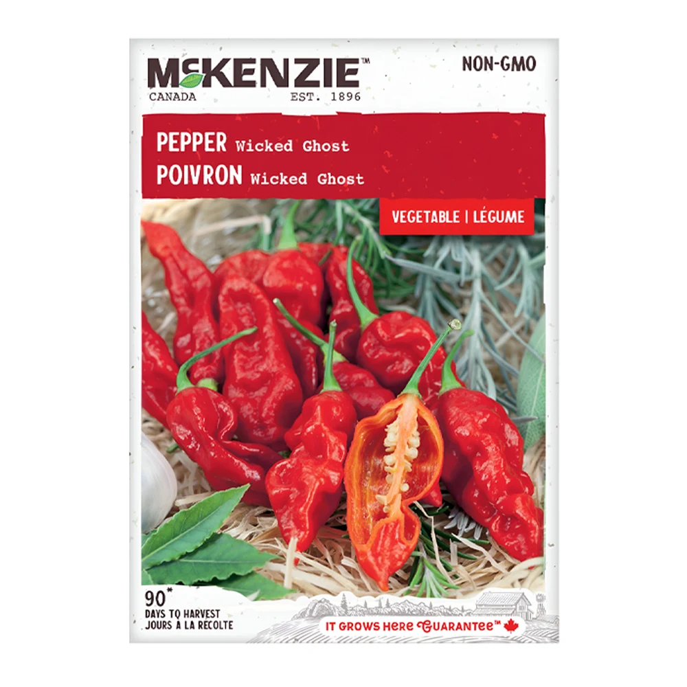 Wicked Ghost Pepper 1 Wicked Ghost Pepper seeds