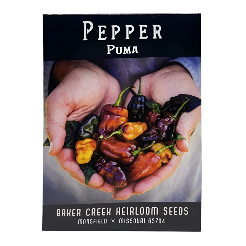 Puma Hot Pepper 1 بذور فلفل بوما الحار