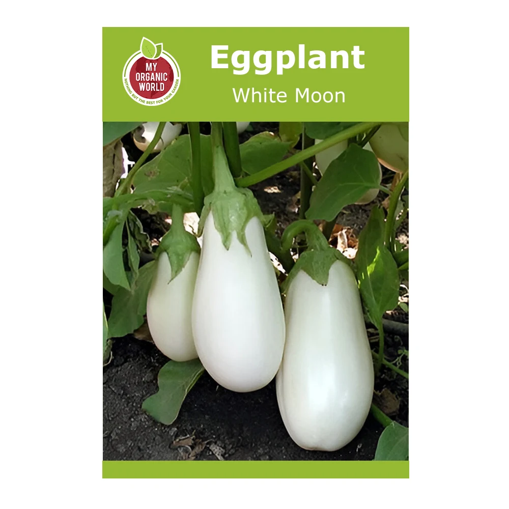 White Moon Eggplant 1 White Moon Eggplant seeds