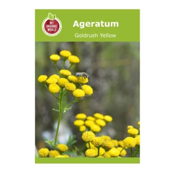 Ageratum Goldrush Yellow