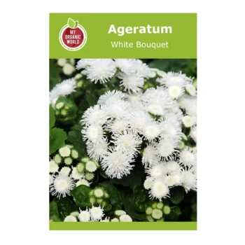 Ageratum White Bouquet