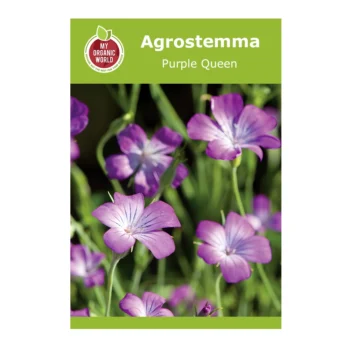 Agrostemma Purple Queen