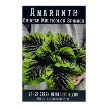 Amaranth Chinese Spinach Multicolor