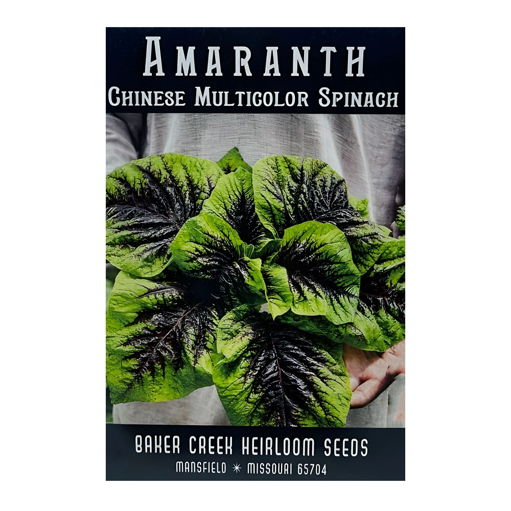 Amaranth Chinese Spinach Multicolor