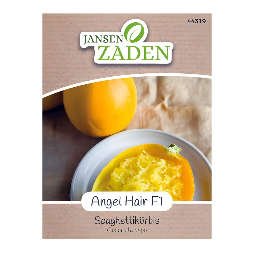 Angel Hair F1 Spaghetti Pumpkin seeds