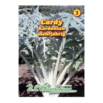 Artichoke Cardy