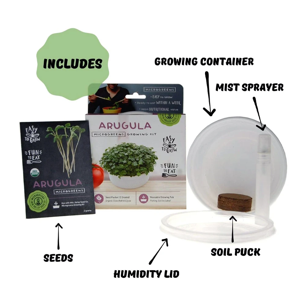 Arugula Mini Microgreens Growing Kit