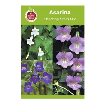Asarina Shooting Stars Mix