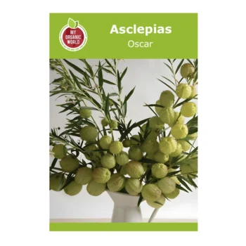 Asclepias Oscar