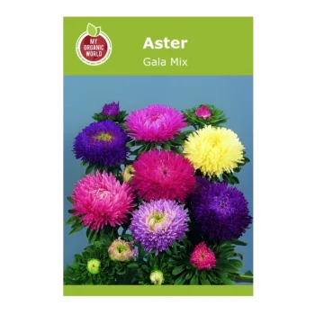 Aster Gala Mix