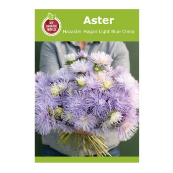 Aster Hazaster Hagan Light Blue China