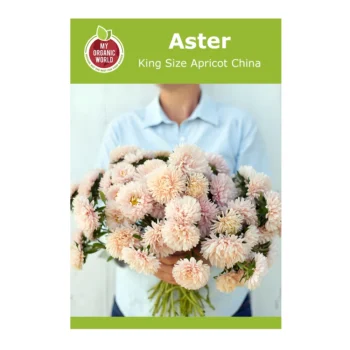 Aster King Size Apricot China