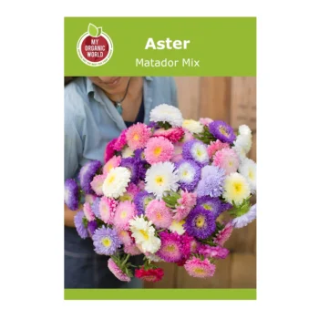 Aster Matador Mix