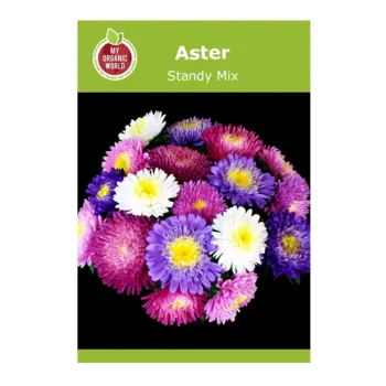 Aster Standy Mix