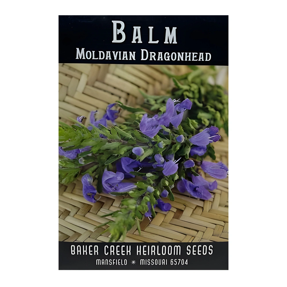 Balm Moldavian Dragonhead 1 Balm Moldavian Dragonhead