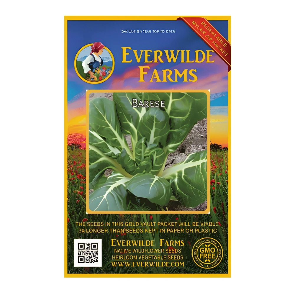 Barese Swiss Chard 1 Barese Swiss Chard seeds